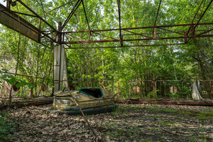 废弃凉亭隐于葱郁树林中