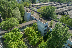 绿树环绕的住宅区景观