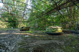 林间停放的多辆老式坦克