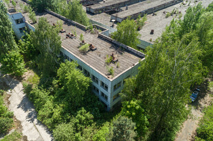 废弃楼房被绿植环绕