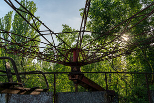 废弃的摩天轮隐于绿树间