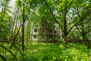 森林中的神秘古老建筑