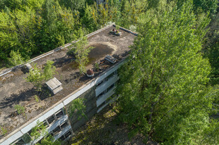 废弃建筑上的绿植景观