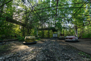 林间静谧停车处