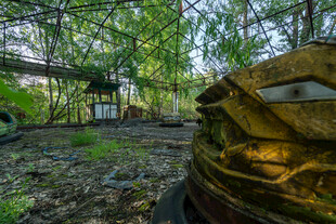 林间旧物静谧自然景致