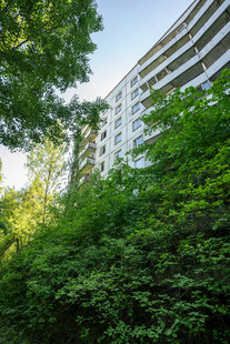 绿树环绕的现代高层住宅