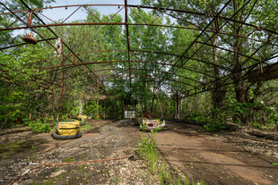 林间荒废场地静谧且沧桑