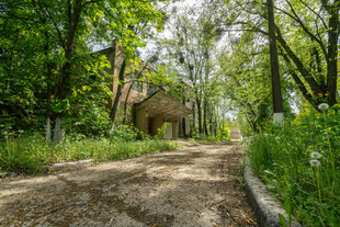 林间小径阳光洒落绿意