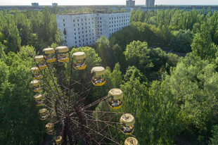 森林中的复古摩天轮景观