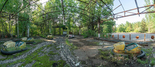 林间静谧的自然景观