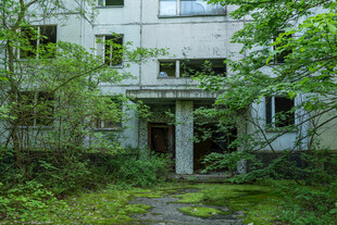 废弃楼房被绿植环绕