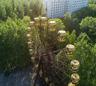 废弃摩天轮隐于葱郁树林