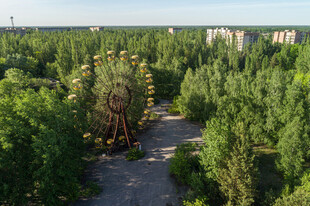 废弃摩天轮隐于葱郁树林