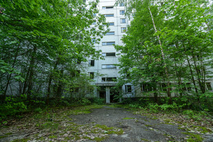 废弃建筑隐于葱郁树林中