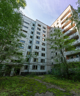 老旧居民楼旁的绿意空间