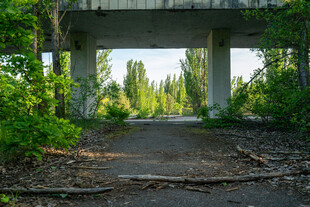 废弃桥边的荒野小道