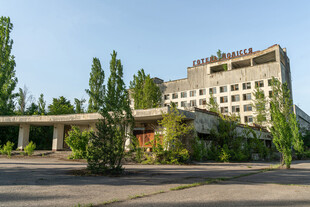 废弃大楼前的绿树景观