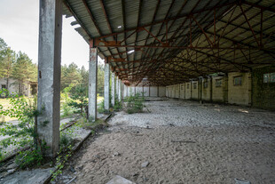 废弃厂房内的荒芜景象