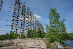 废弃木构架旁的葱郁绿树