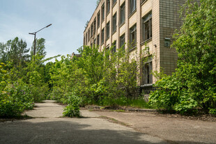 废弃建筑旁的繁茂绿植