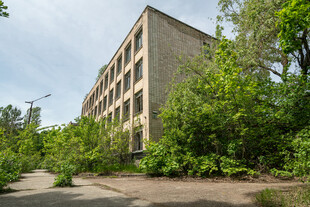 废弃大楼被绿植环绕