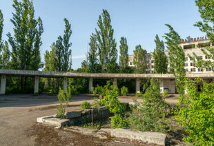 户外绿植环绕的休憩空间