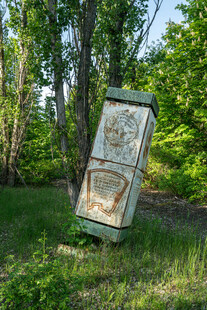 倾斜的旧冰箱于绿意中