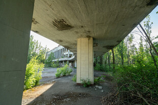 废弃桥下的自然景象