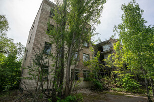 林间静谧的多层住宅建筑