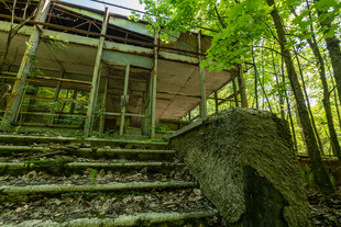 废弃林间建筑与石阶