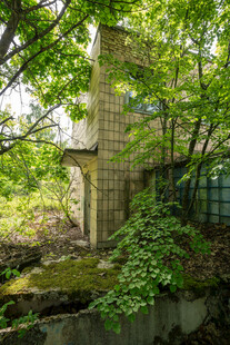 废弃小屋隐于葱郁草木间