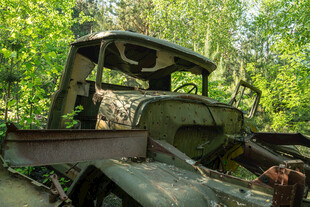 废弃丛林中的老旧卡车