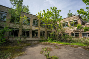 废弃建筑庭院中的绿植景观