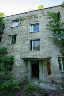 废弃石砌建筑绿植环绕