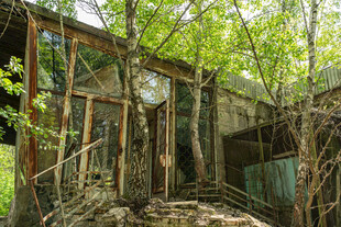 废弃房屋被绿植环绕