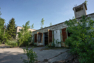 废弃房屋被绿植环绕