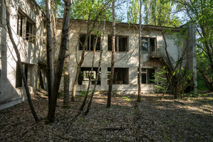 废弃破旧楼房的荒芜景象