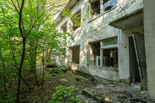 废弃建筑被绿植环绕