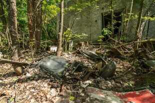 废弃林中的神秘残骸