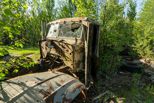 废弃卡车藏身绿意丛林中