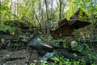 森林中的废弃小屋