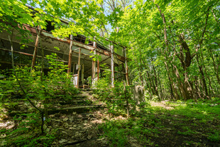 森林中隐藏的废弃木质建筑