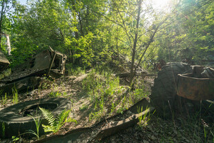 废弃丛林中的旧机械遗迹
