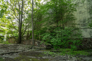 林间石壁下的清幽景致