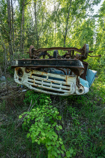 废弃汽车藏身茂密树林中