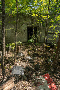 废弃林中房屋杂草丛生