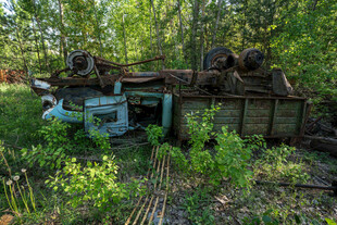 废弃坦克藏身繁茂丛林中