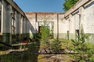 废弃庭院中的荒芜景象
