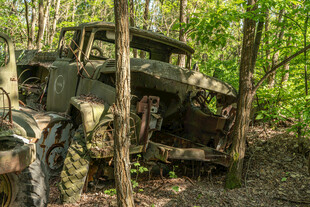 丛林中伪装的军用车辆