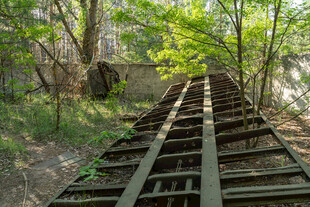 废弃铁轨延伸于林间
